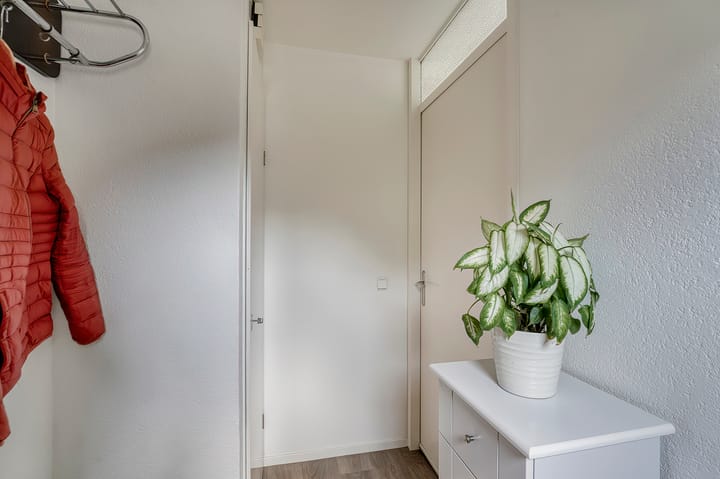 Foto 8 van Zeester 70