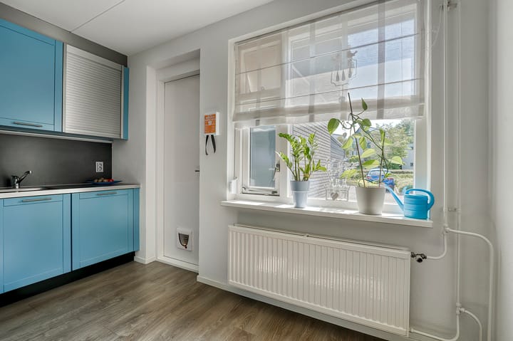 Foto 11 van Zeester 70