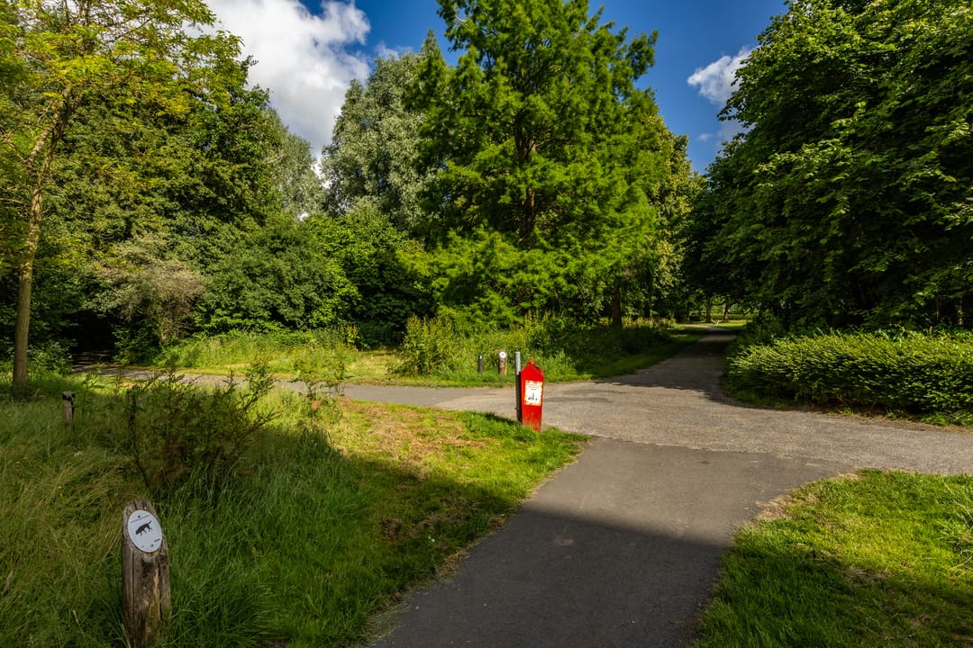 Foto 22 van Maria Dermoutlaan 82