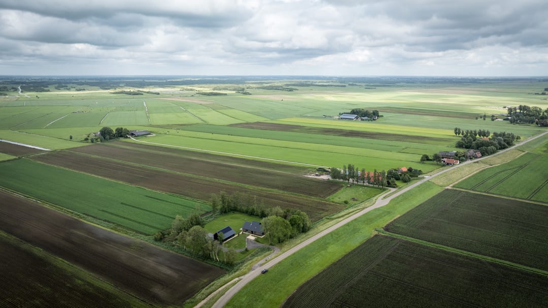 Photo 77 of Hammerdijk 30