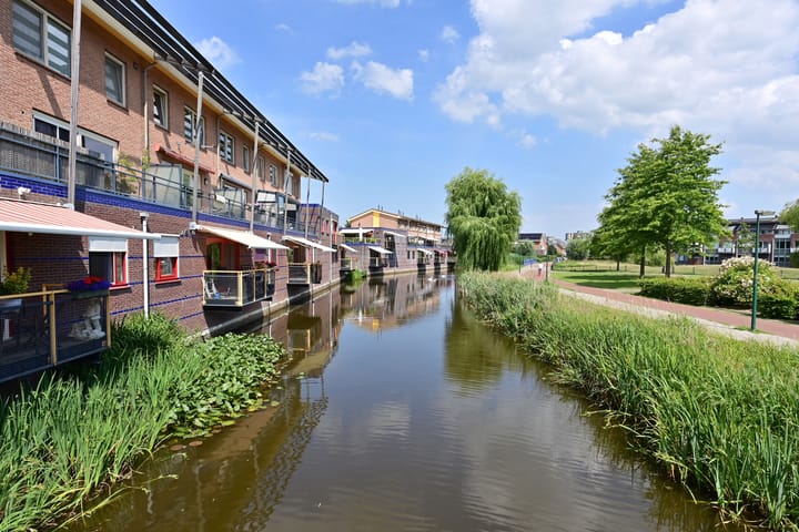 Foto 1 van Dorsvlegel 55