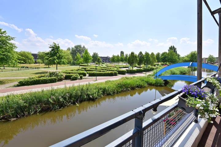 Foto 2 van Dorsvlegel 55