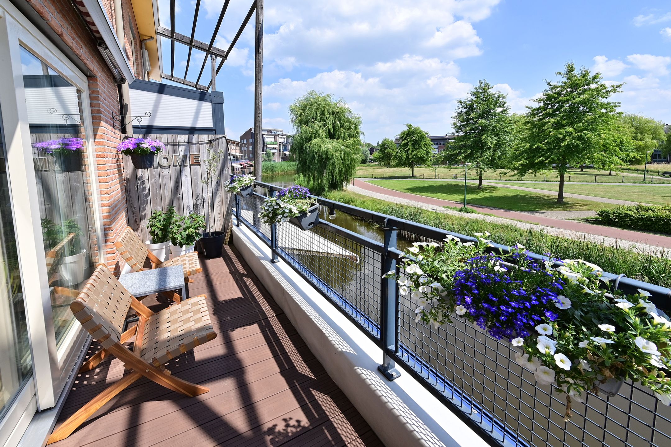 Foto 3 van Dorsvlegel 55