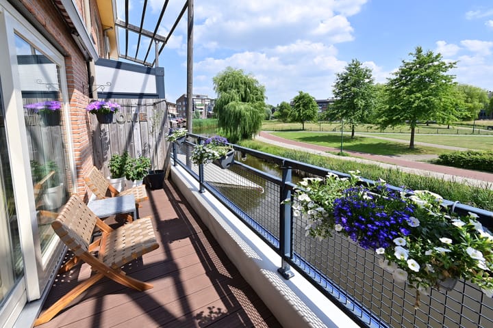 Foto 3 van Dorsvlegel 55