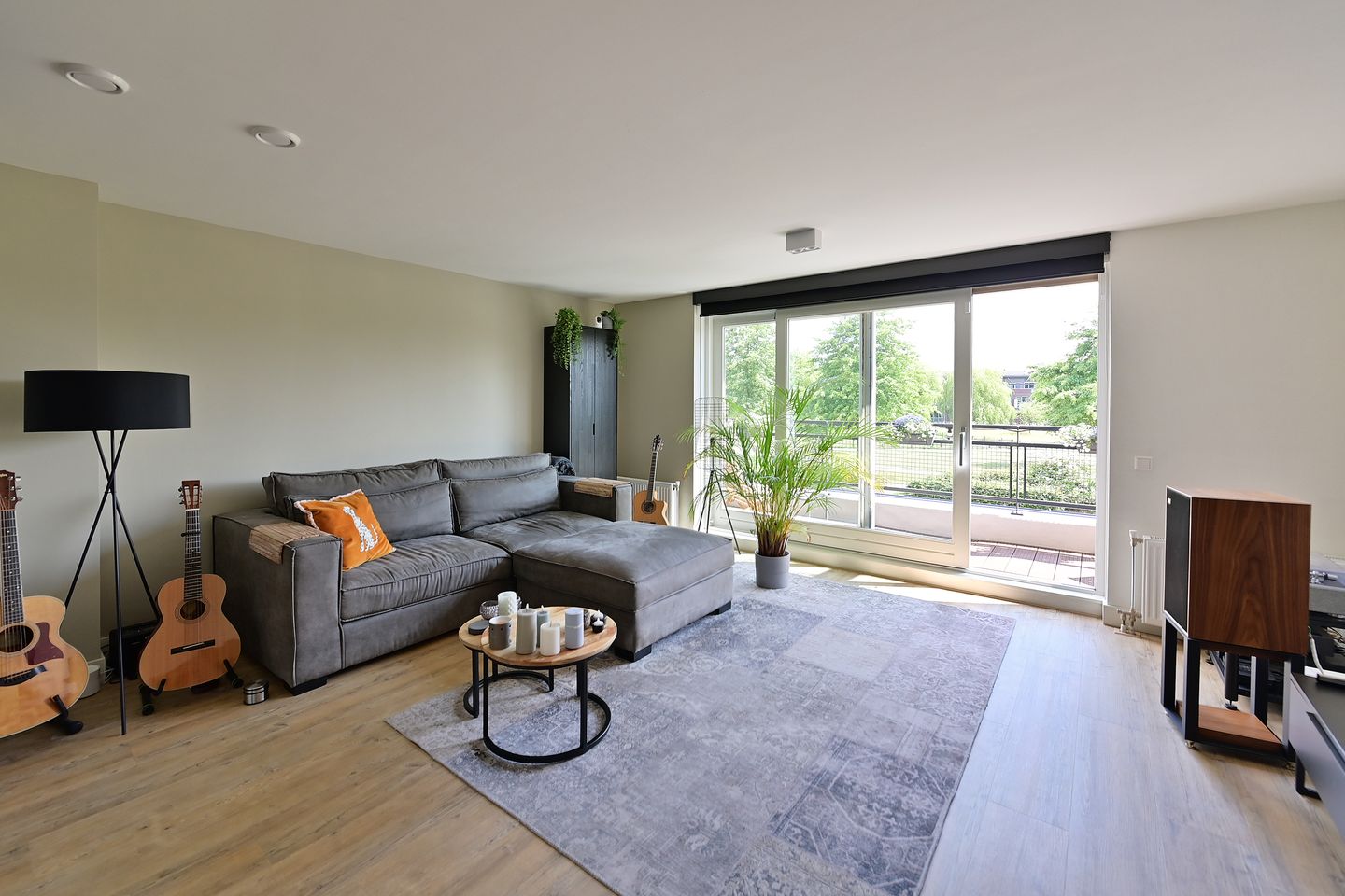 Foto 5 van Dorsvlegel 55