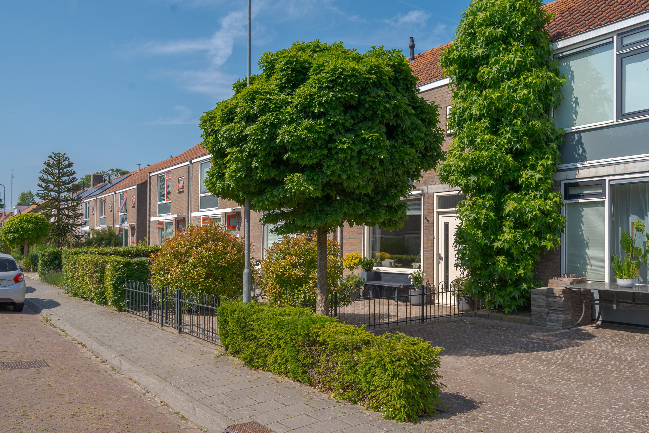 Foto 6 van Begoniastraat 6