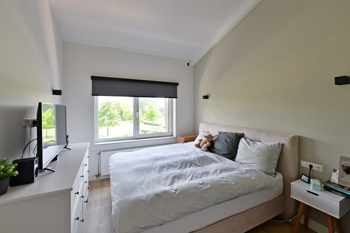 Foto 12 van Dorsvlegel 55