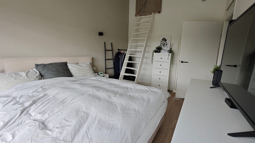 Foto 13 van Dorsvlegel 55