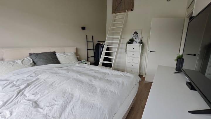 Foto 13 van Dorsvlegel 55