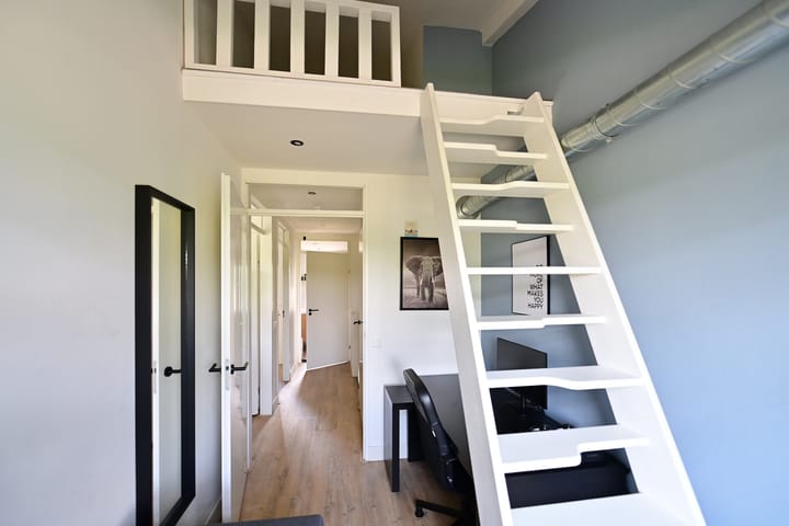 Foto 15 van Dorsvlegel 55