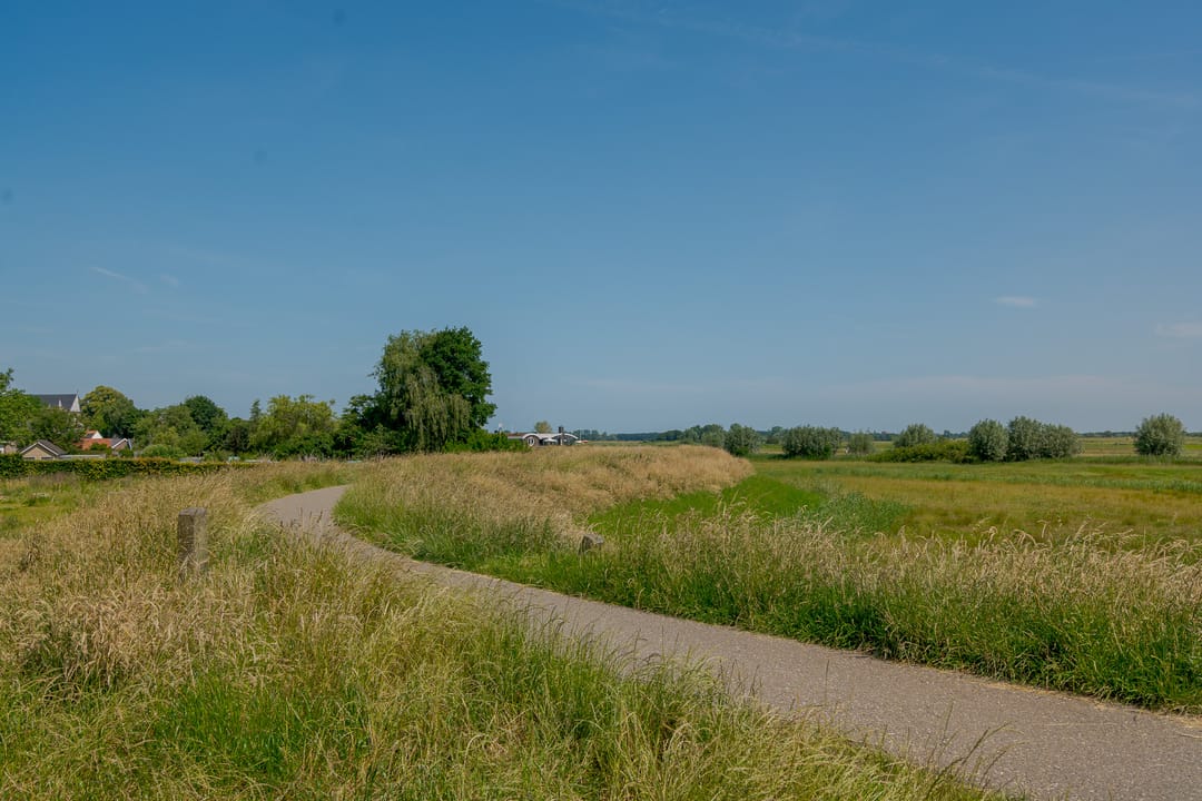 Foto 46 van Begoniastraat 6