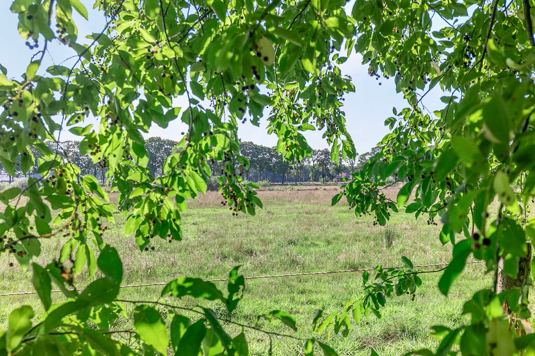 Photo 37 of Hupselse Markenweg 4-101