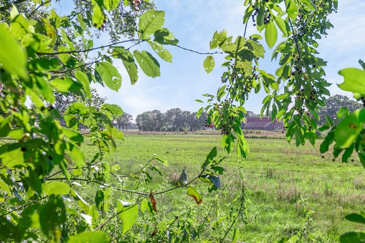 Foto 38 van Hupselse Markenweg 4-101