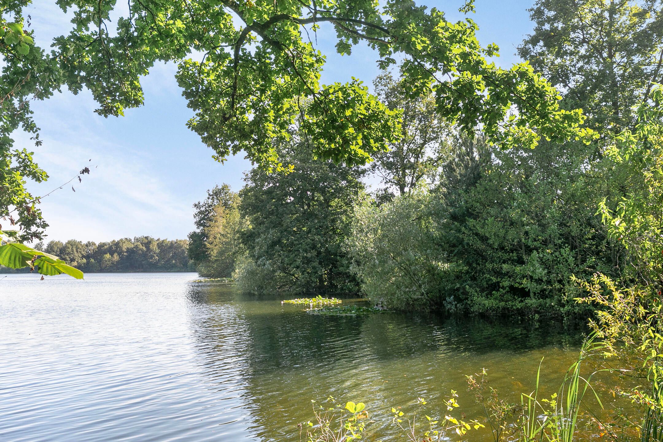 Photo 39 of Hupselse Markenweg 4-101