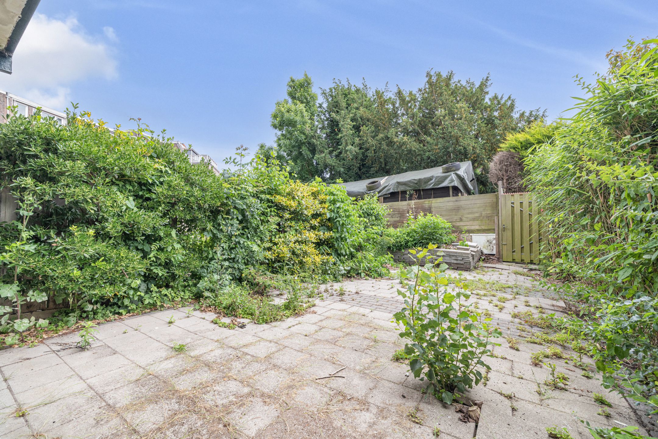 Foto 6 van Schielaan 10-A