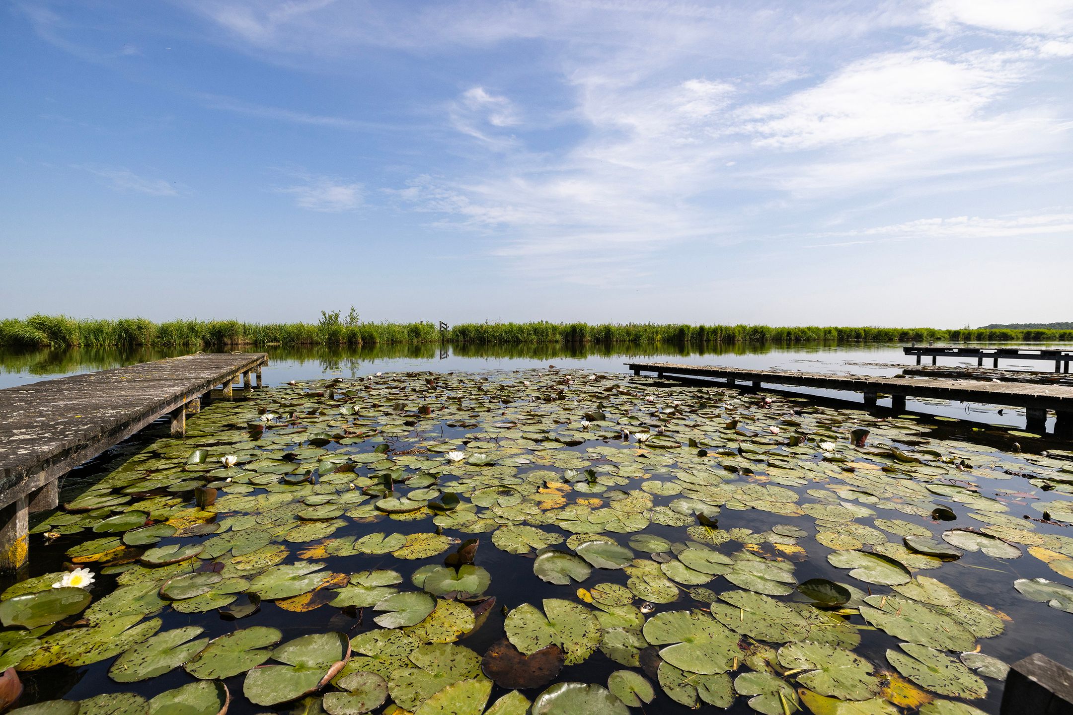 Foto 9 van Hazenweg 8