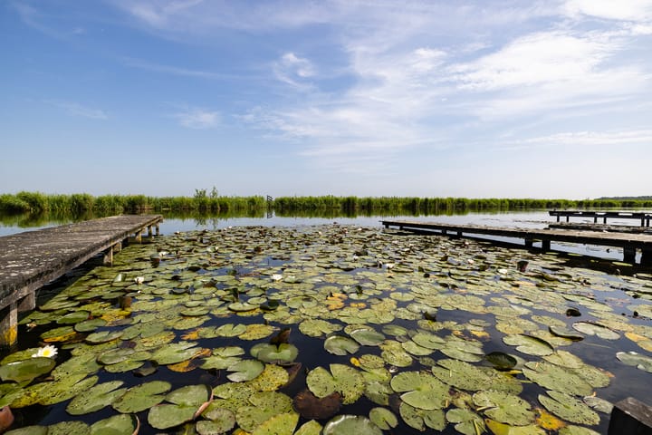 Foto 9 van Hazenweg 8