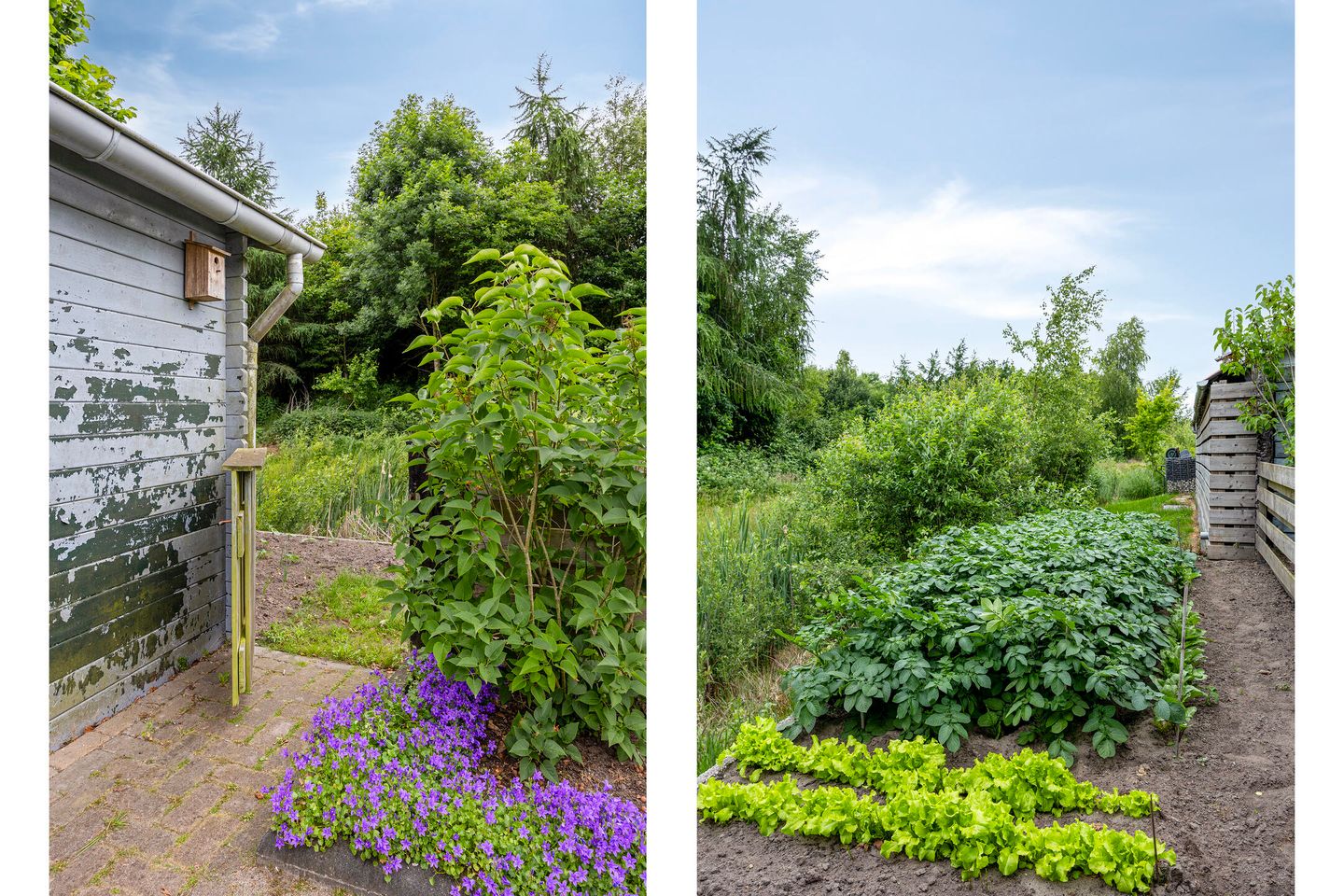 Foto 35 van van de Wall Bakestraat 3