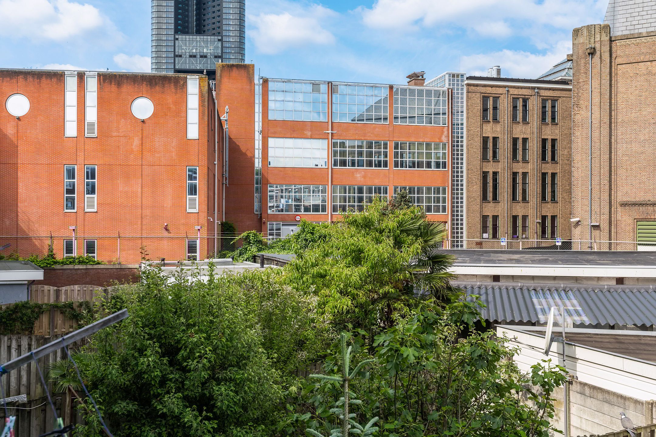 Photo 18 of Zwetstraat 50