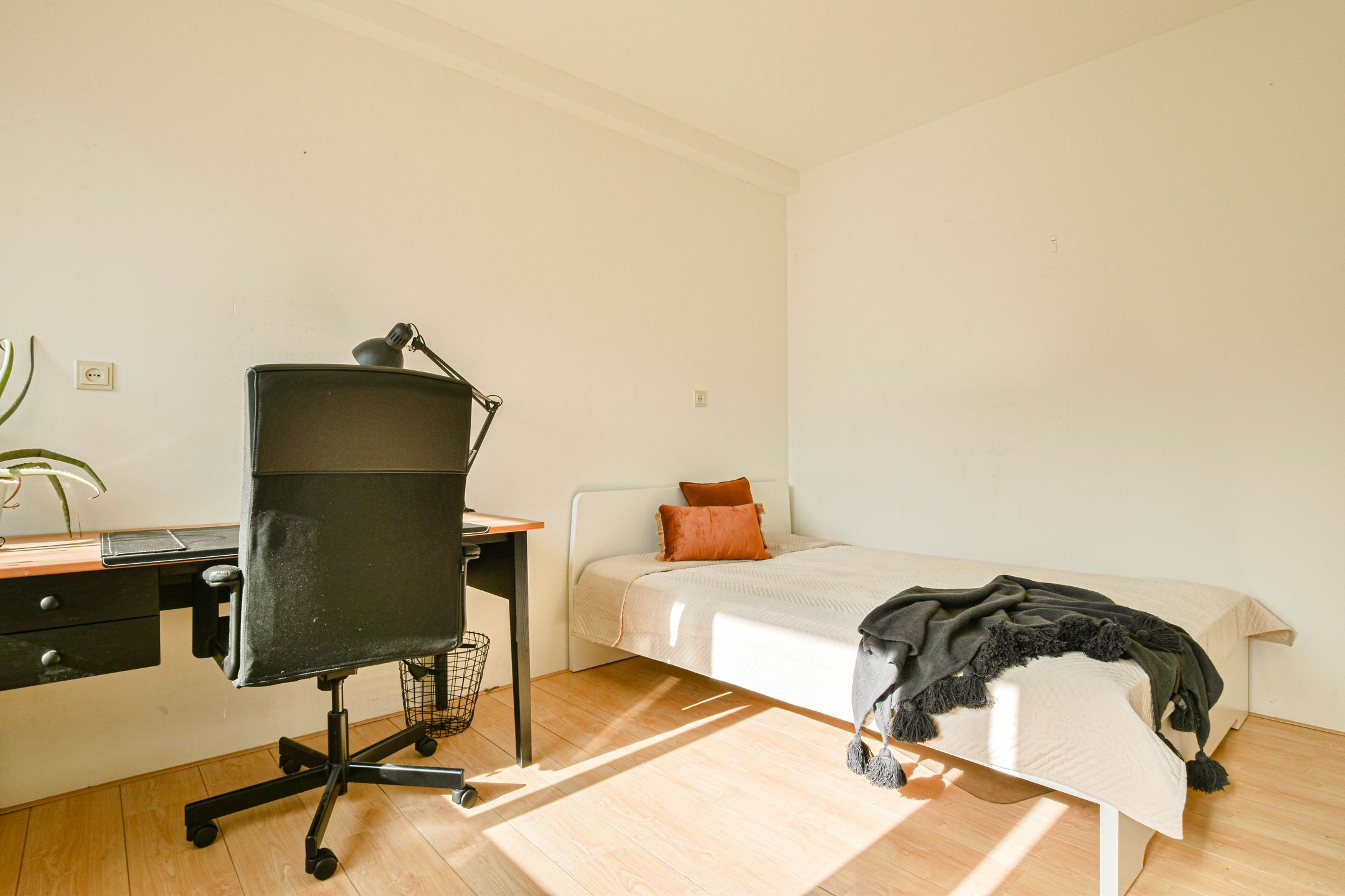 Foto 6 van De Egmondenstraat 213