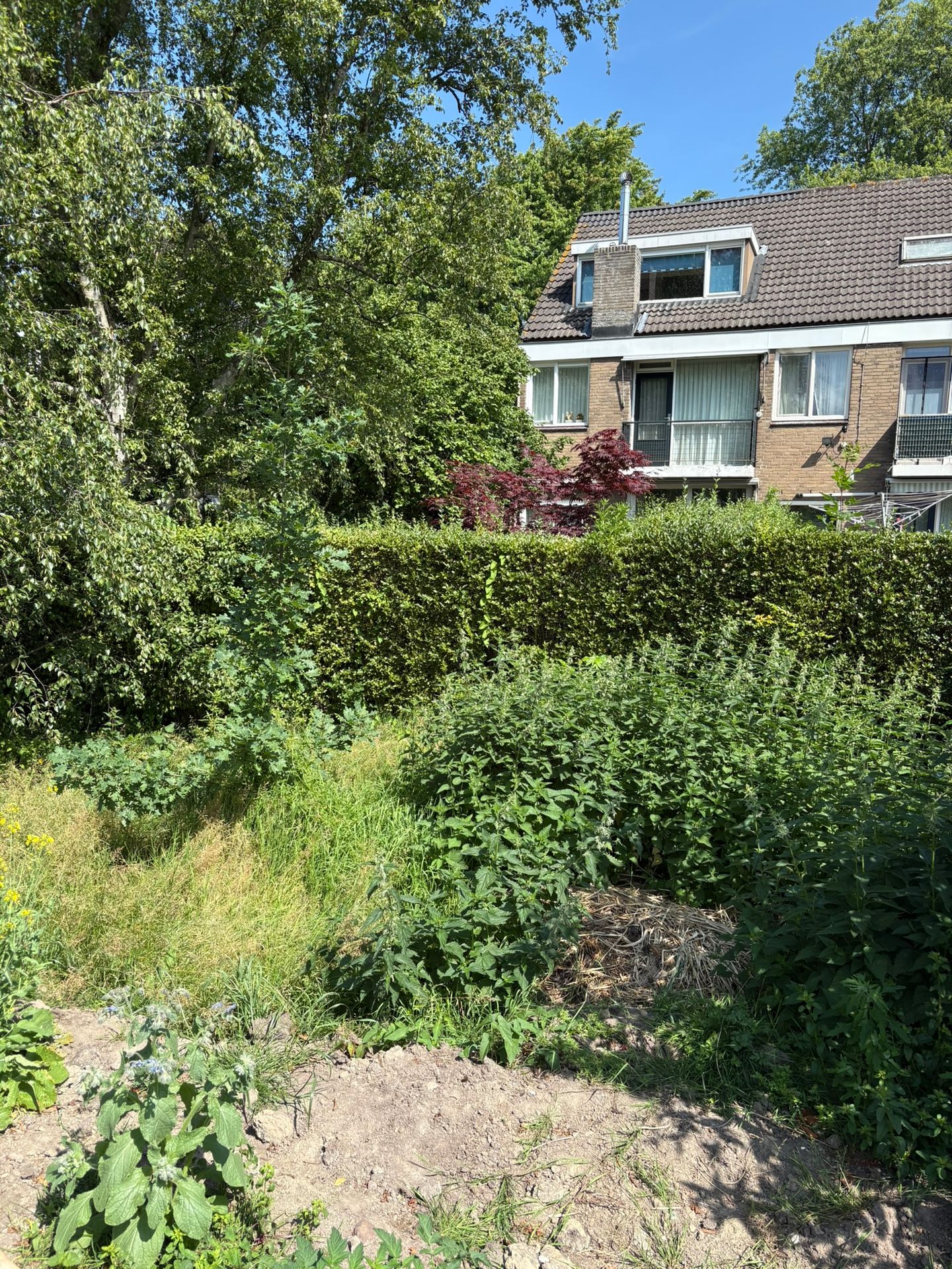 Photo 34 of Platostraat 262