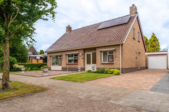 undefined main image