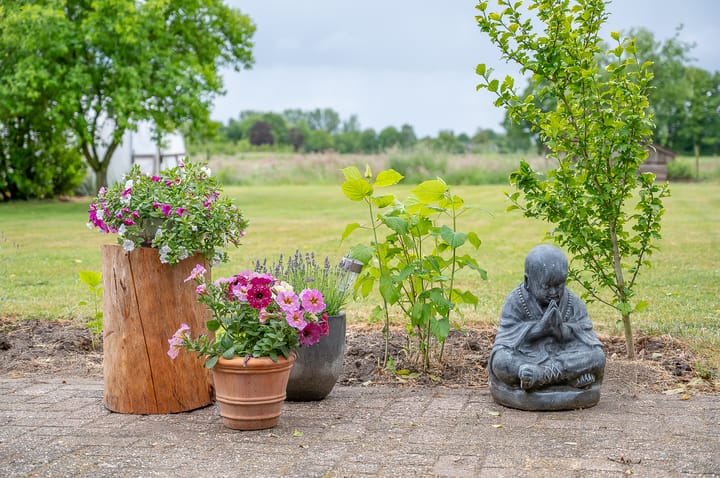 Foto 63 van Deldensebroekweg 11