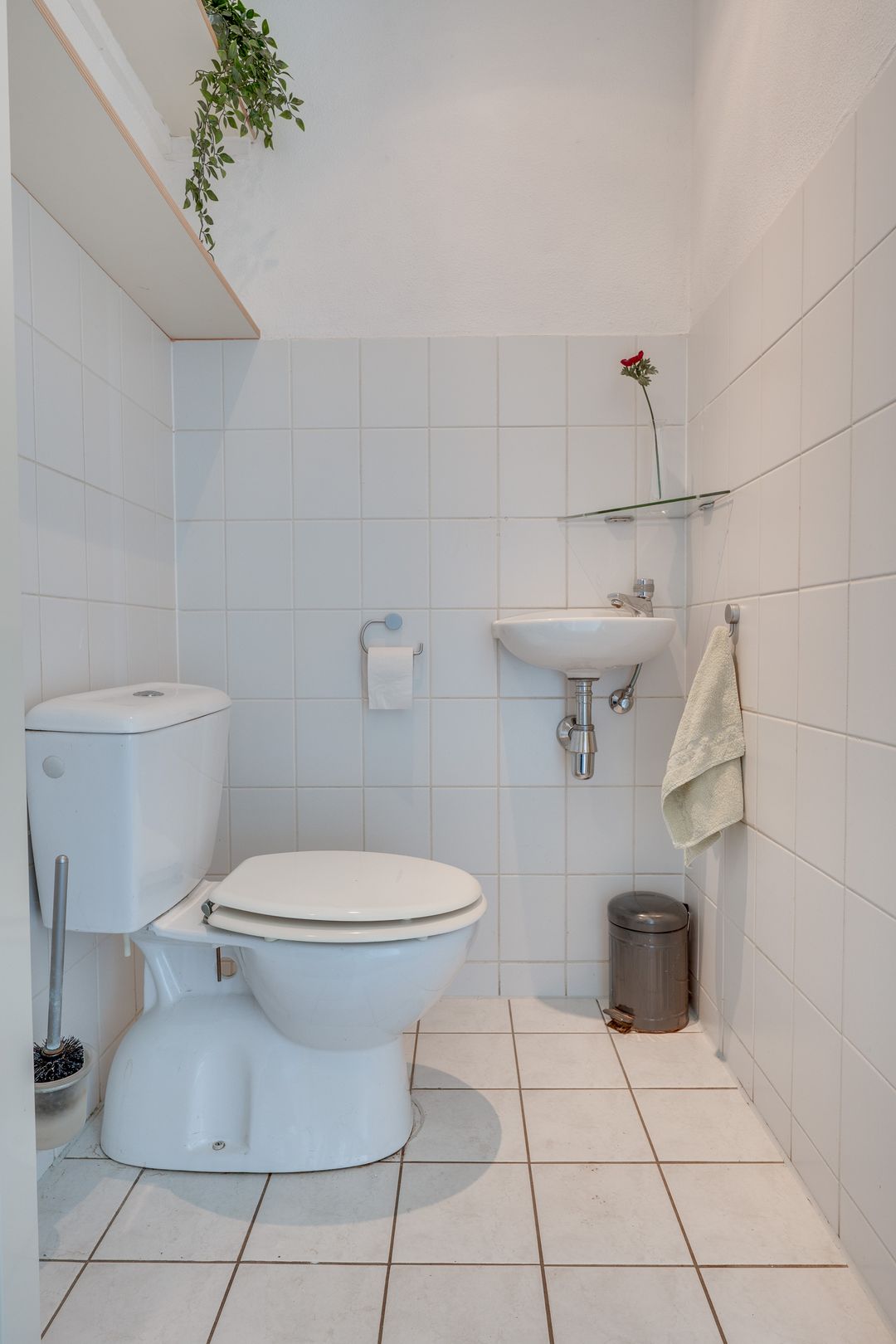 Foto 8 van Zandeiland 20