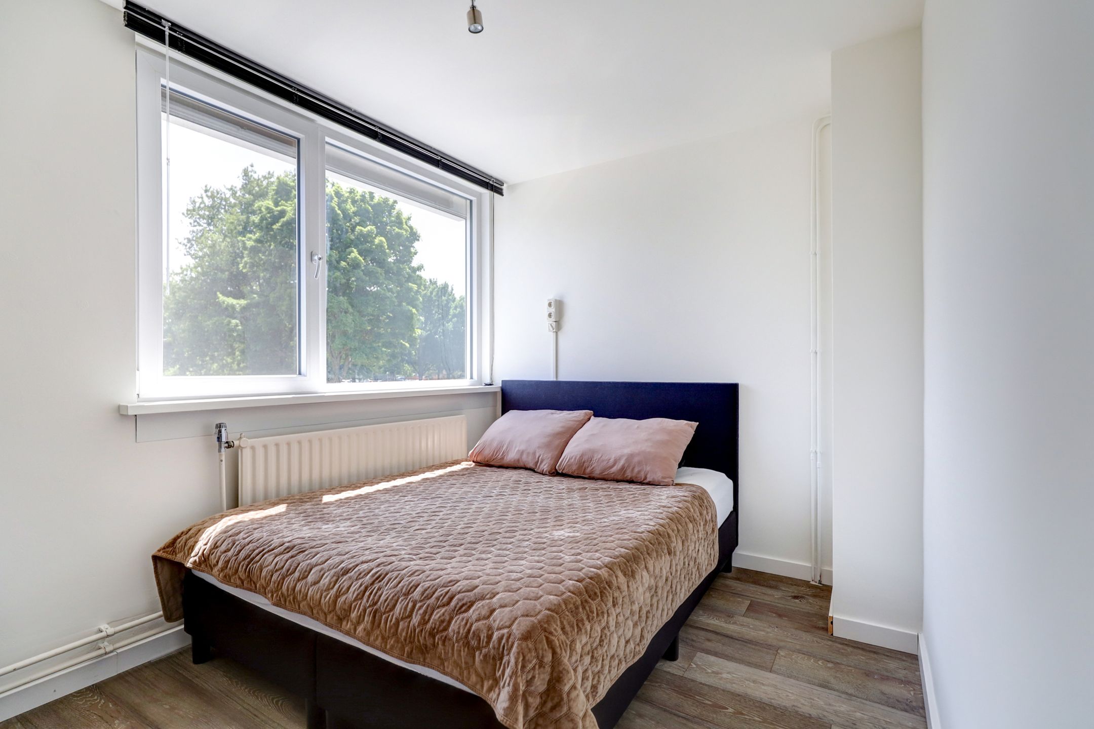 Foto 18 van Aduardstraat 34