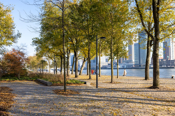 Foto 34 van Calandstraat 39-G