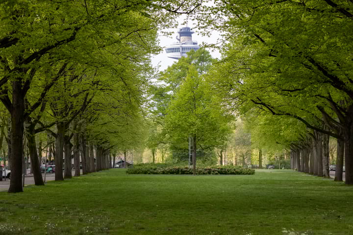 Foto 7 van Calandstraat 43-B