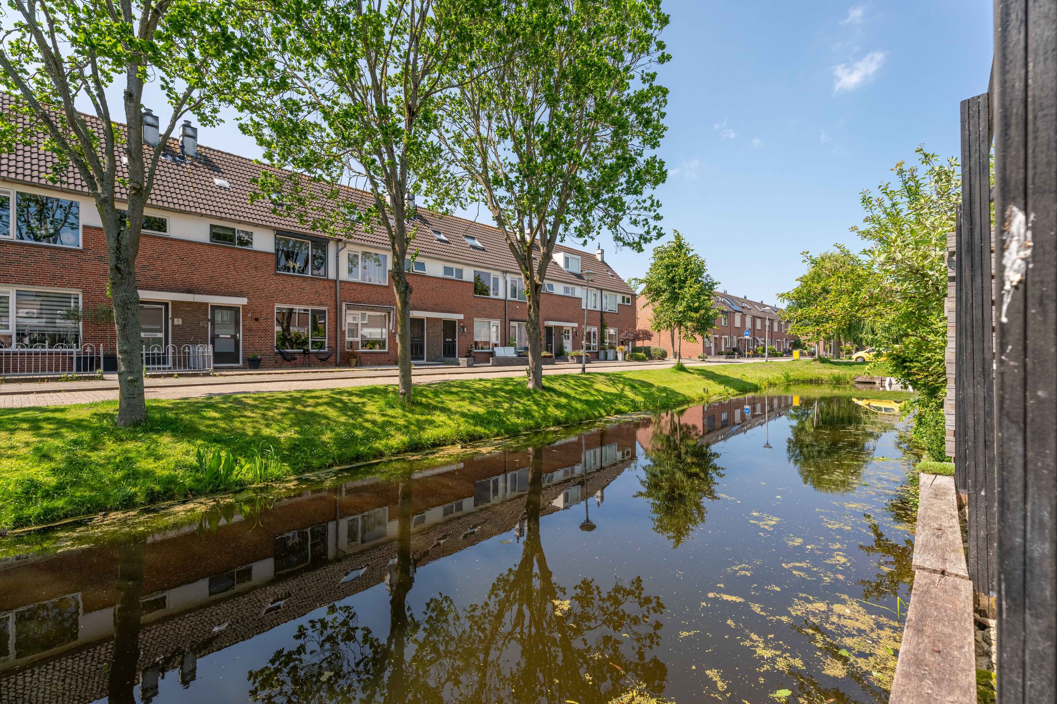 Foto 30 van Hoefblad 91