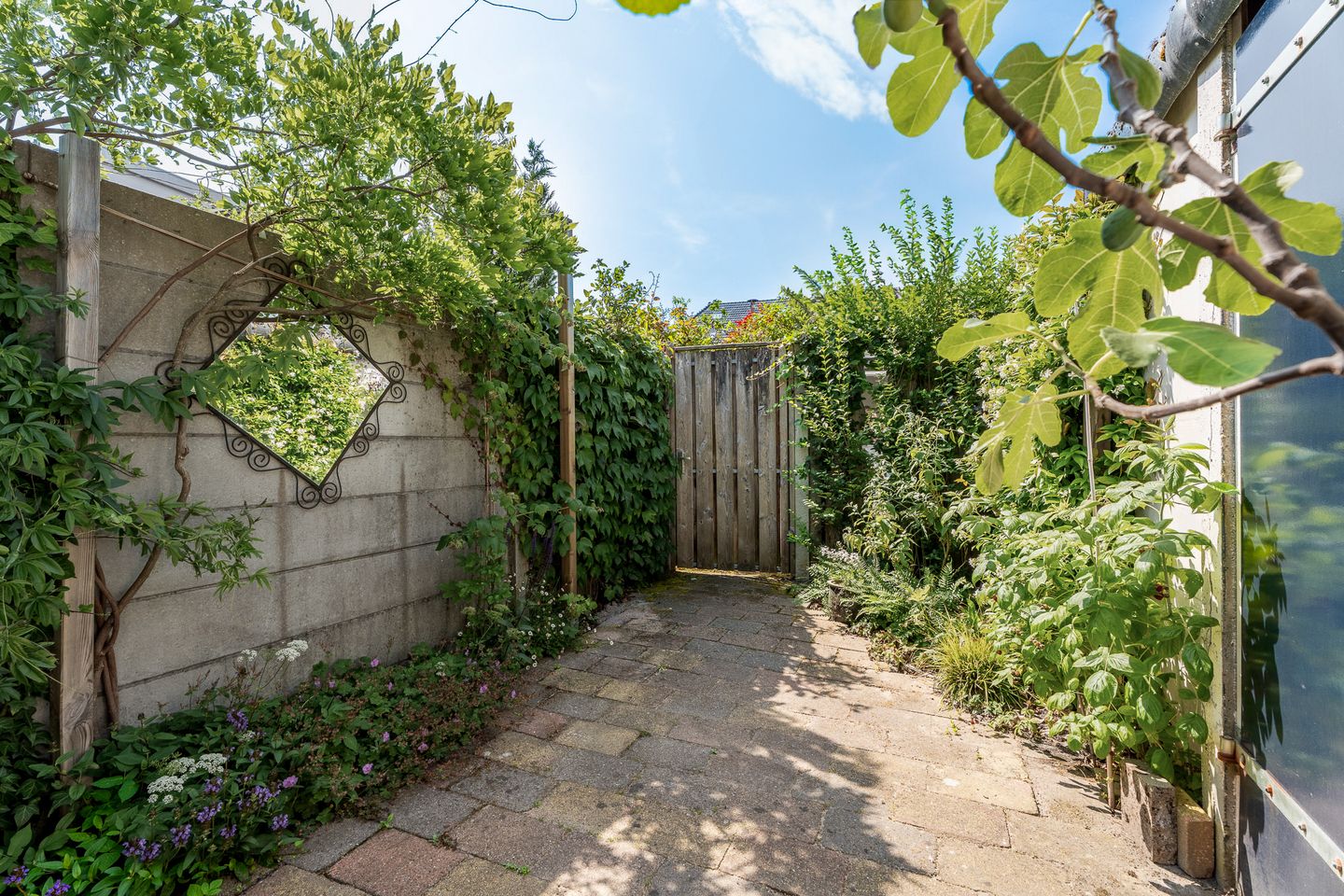 Foto 19 van Wichmansstraat 10