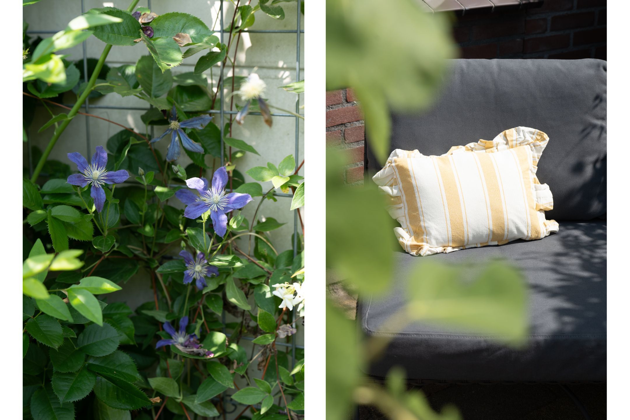 Foto 21 van Wichmansstraat 10