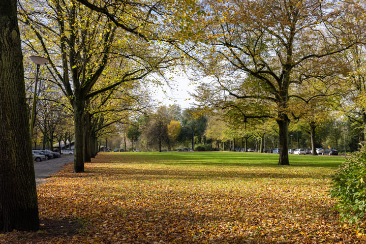Foto 46 van Calandstraat 45-E