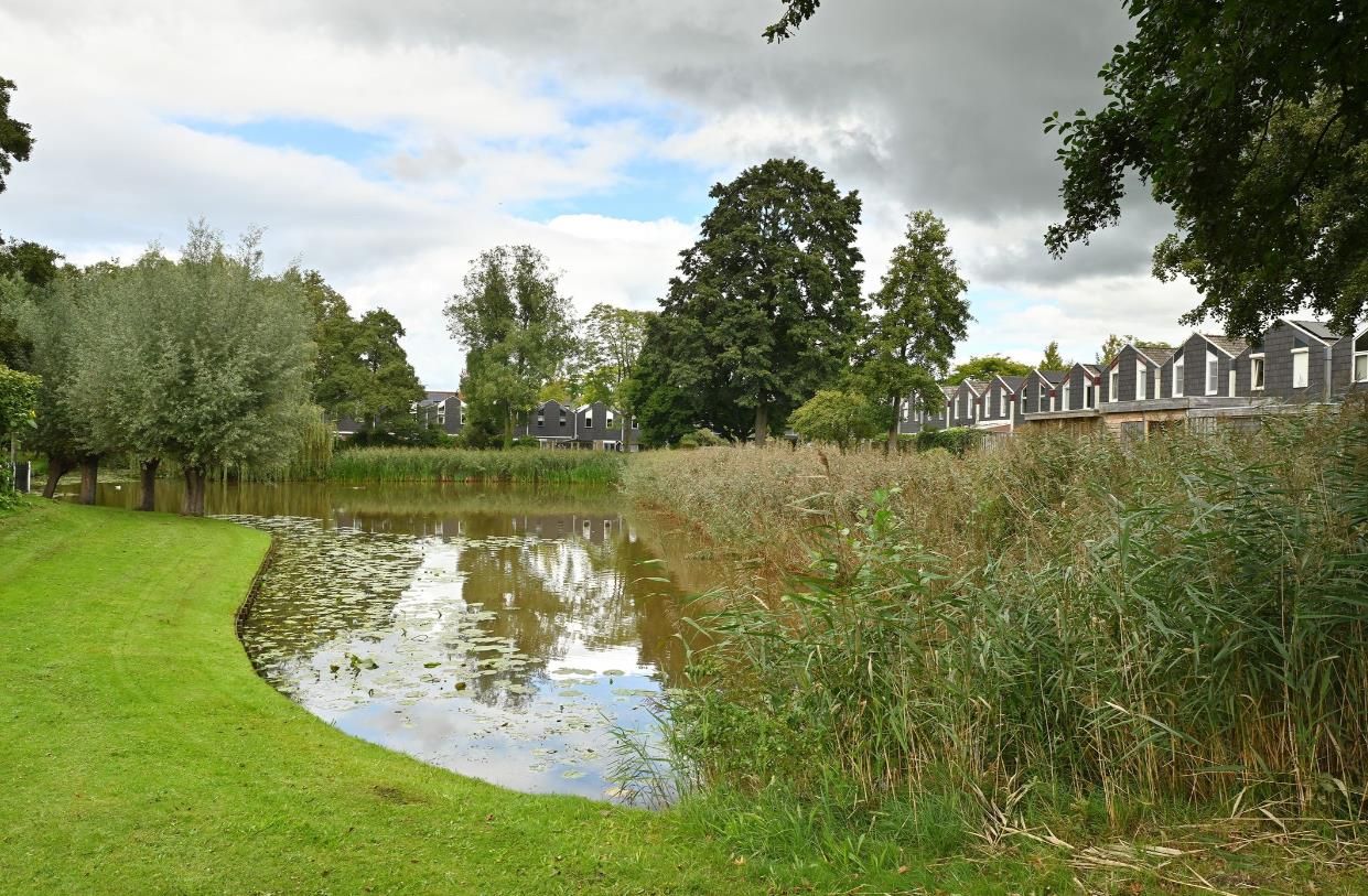 Foto 14 van Lambertijnenlaan 81