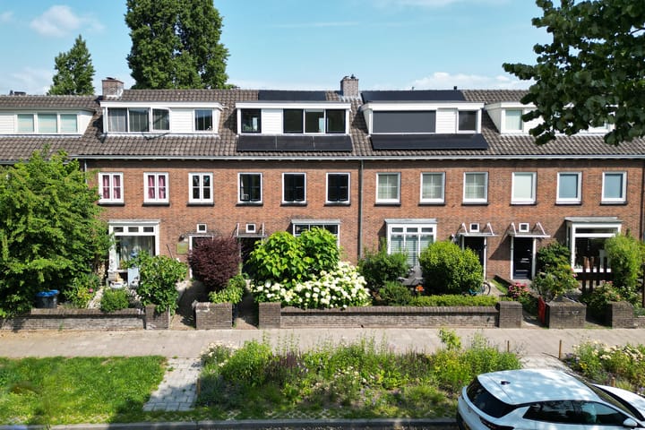 undefined main image