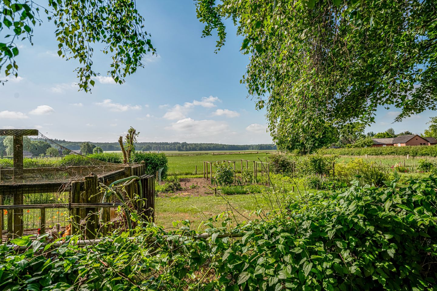 Foto 29 van Peeskesweg 6-D