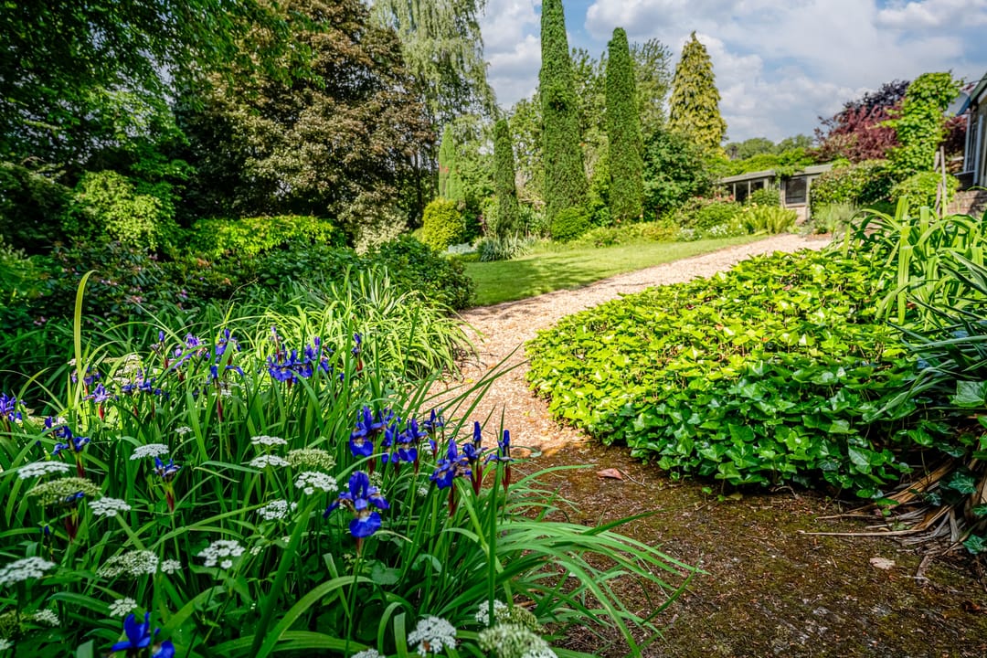 Foto 52 van Peeskesweg 6-D