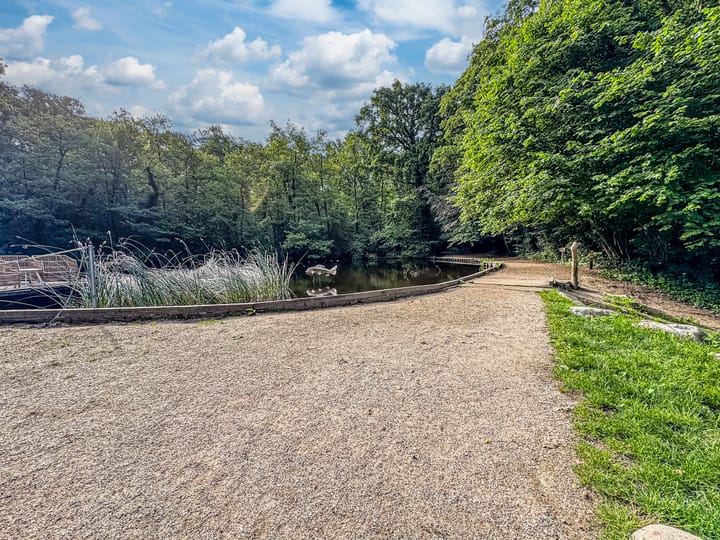 Foto 63 van Peeskesweg 6-D