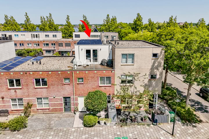 Foto 1 van Willemijn Posthumustuin 8