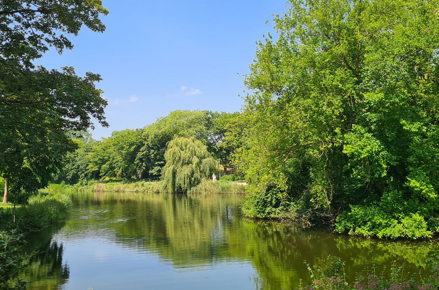 Foto 34 van Paludanushof 59