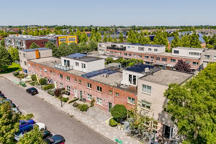 Foto 52 van Willemijn Posthumustuin 8