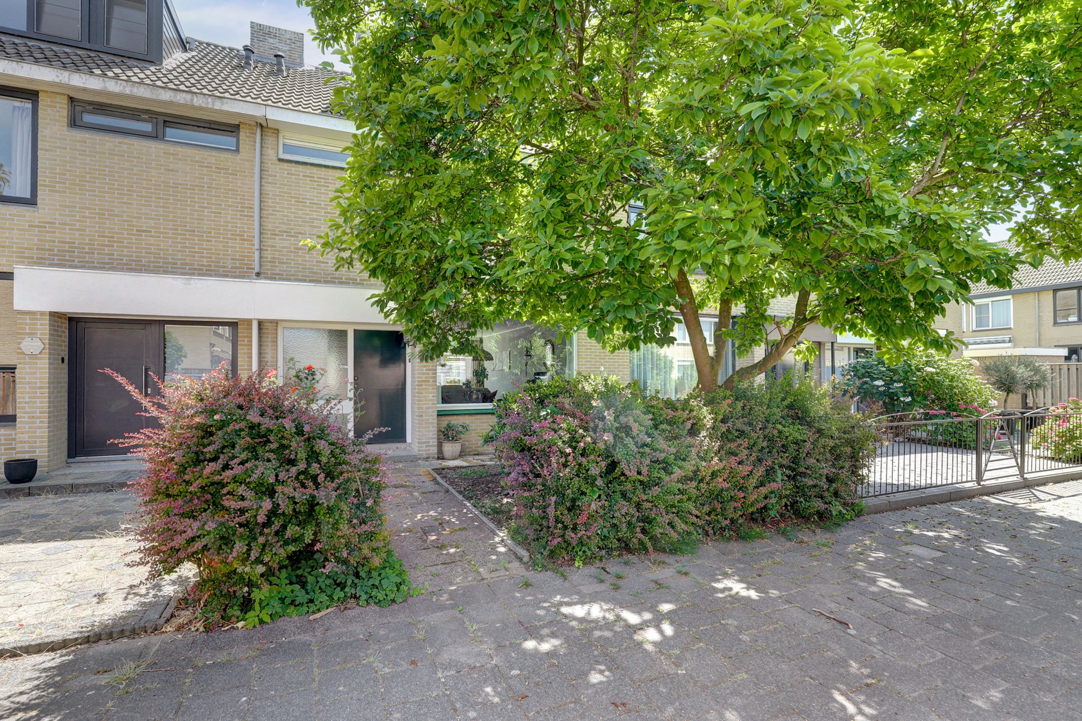 Foto 30 van Deimospad 6