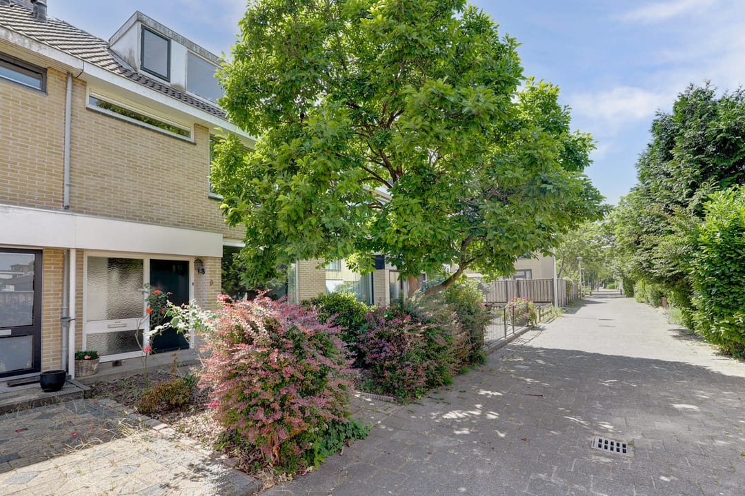 Foto 31 van Deimospad 6