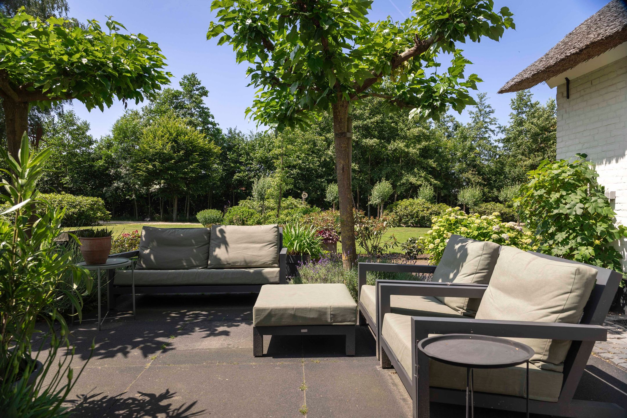 Foto 12 van Scheggertdijk 84