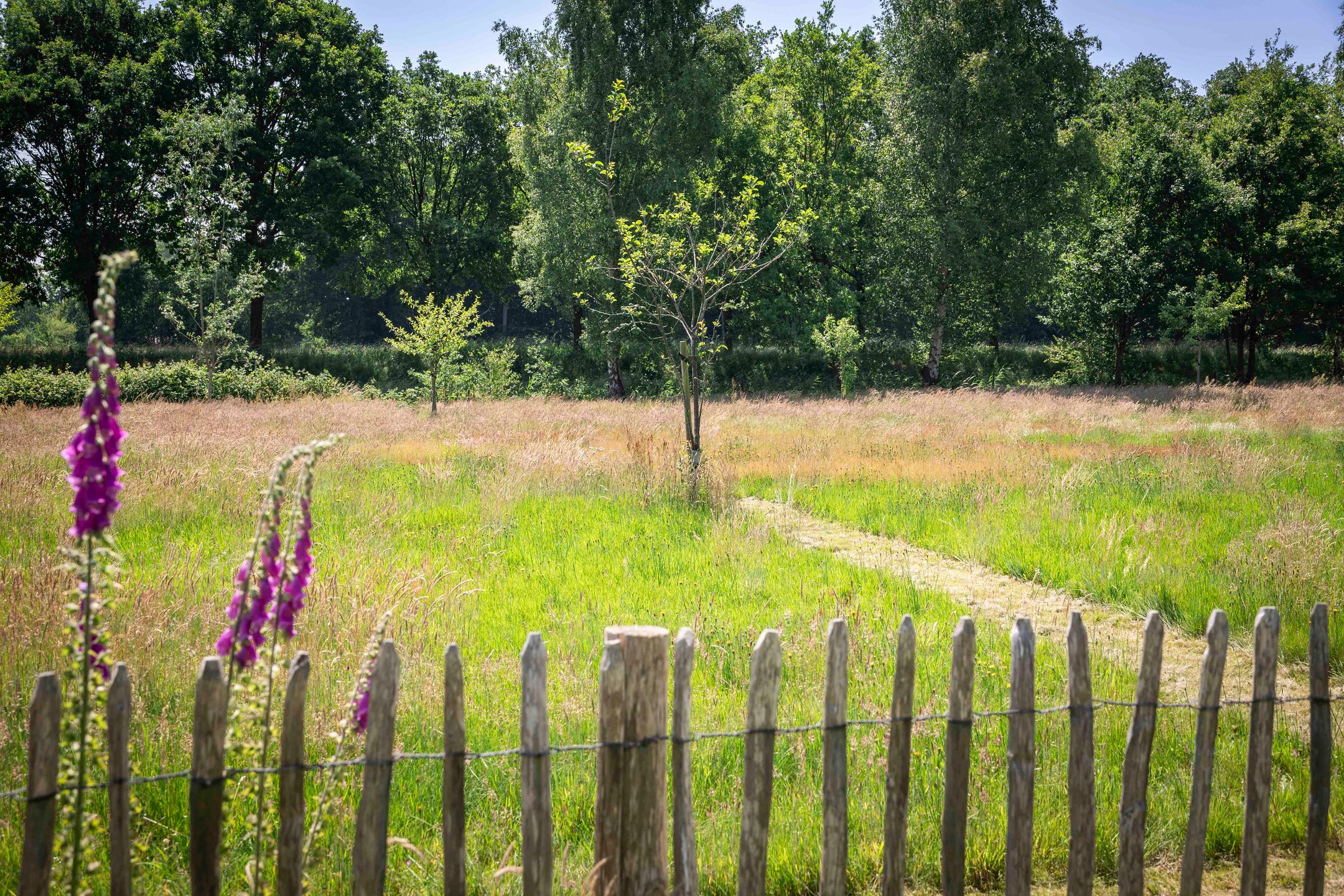 Foto 24 van Scheggertdijk 84