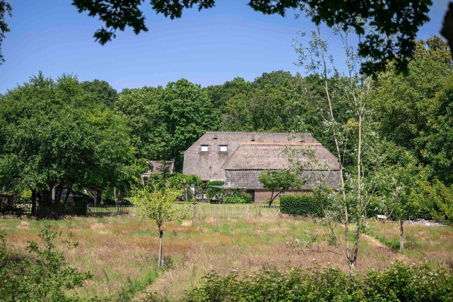 Foto 25 van Scheggertdijk 84