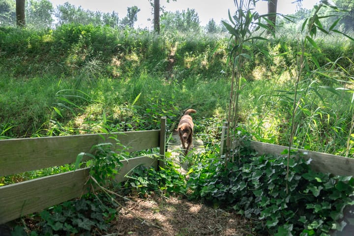 Foto 56 van Scheggertdijk 84