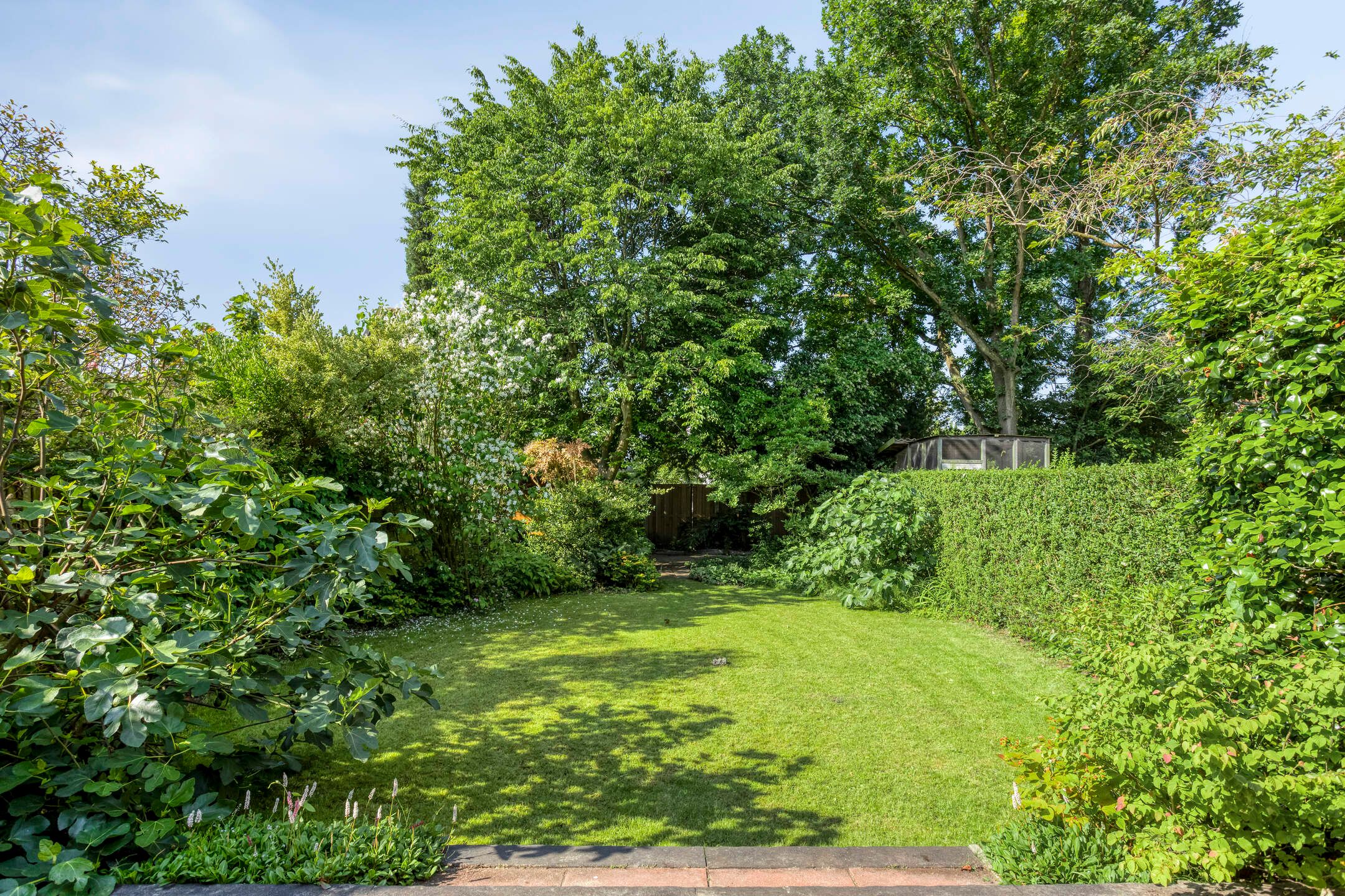 Foto 12 van Splinterlaan 138